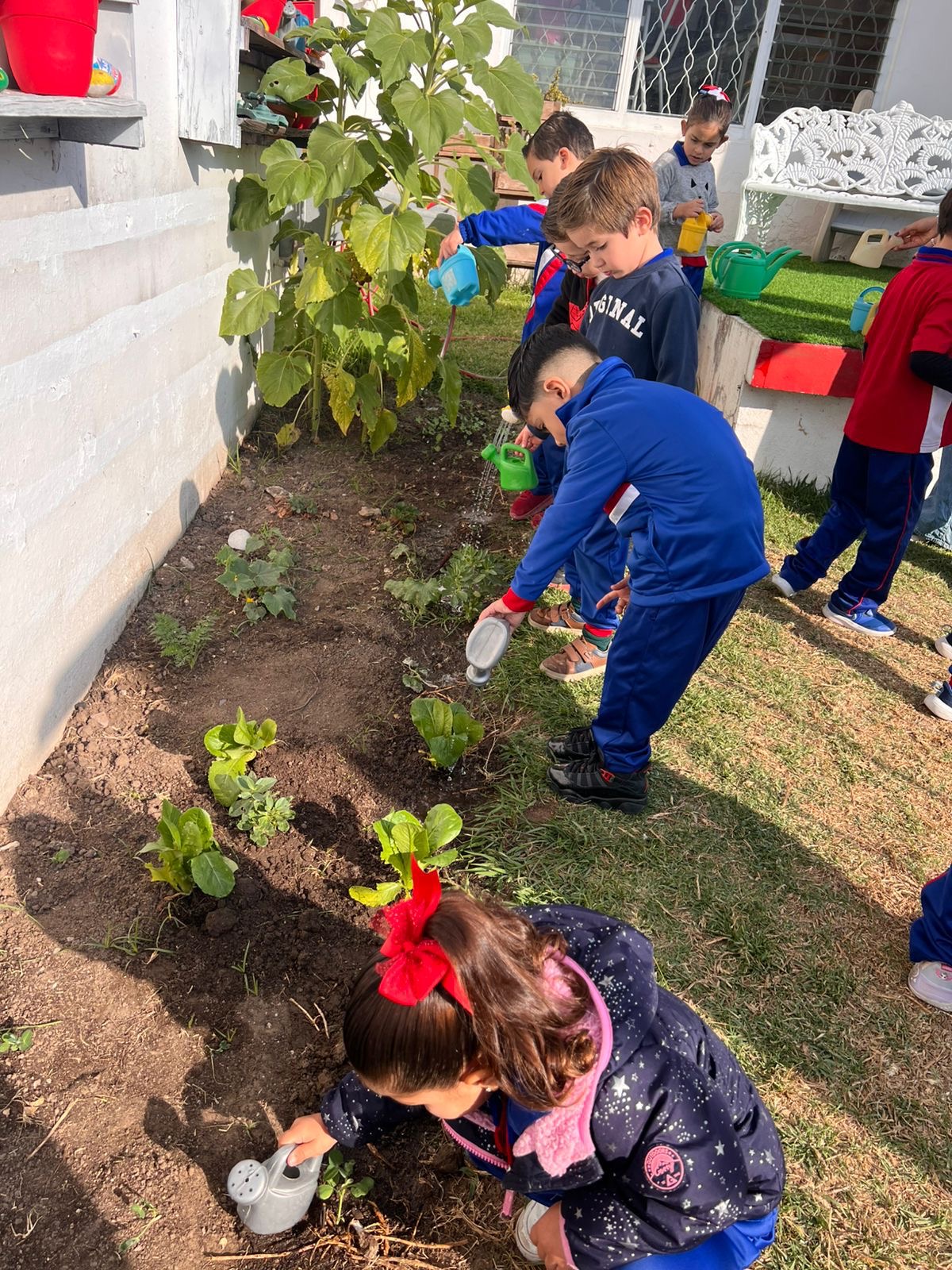 Niños regando el huerto escolar